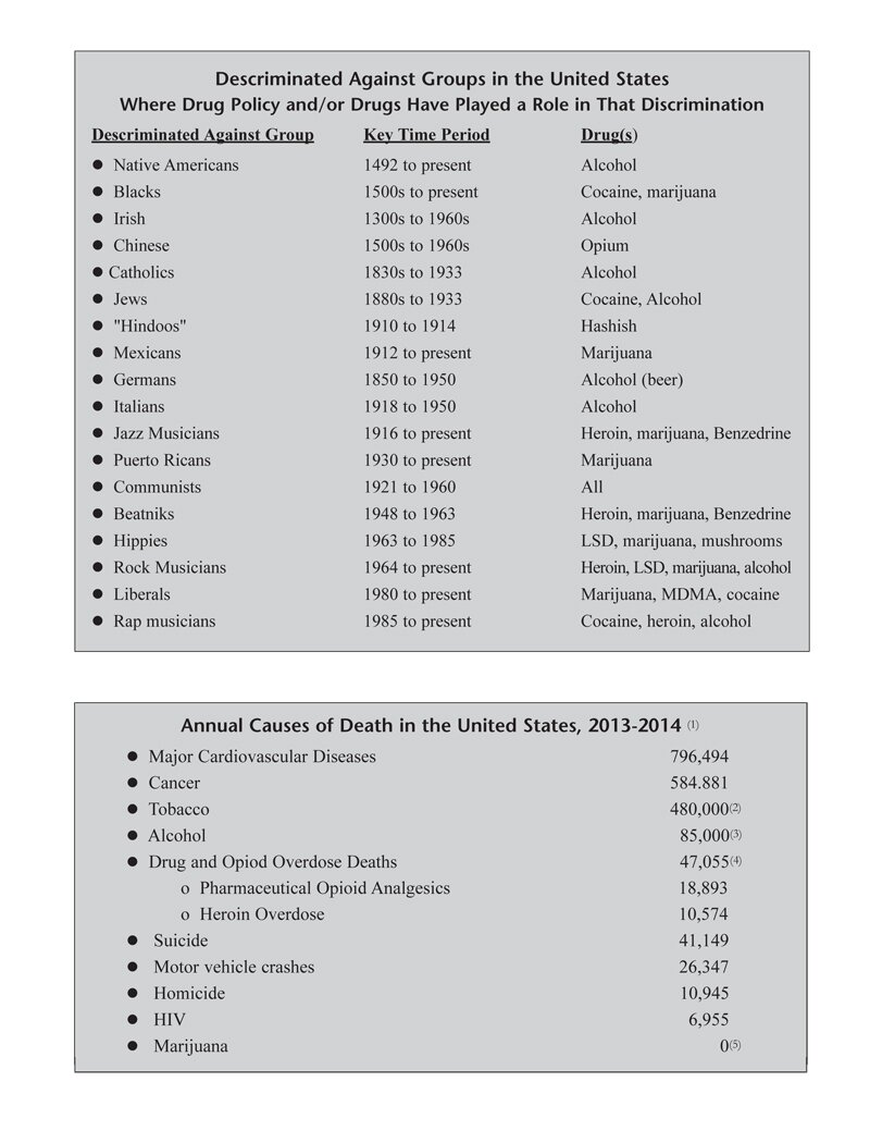 https://drugsarenotthedevilstools.com/wp-content/uploads/2017/01/DiscriminatedAgainst-Deaths2017.jpg
